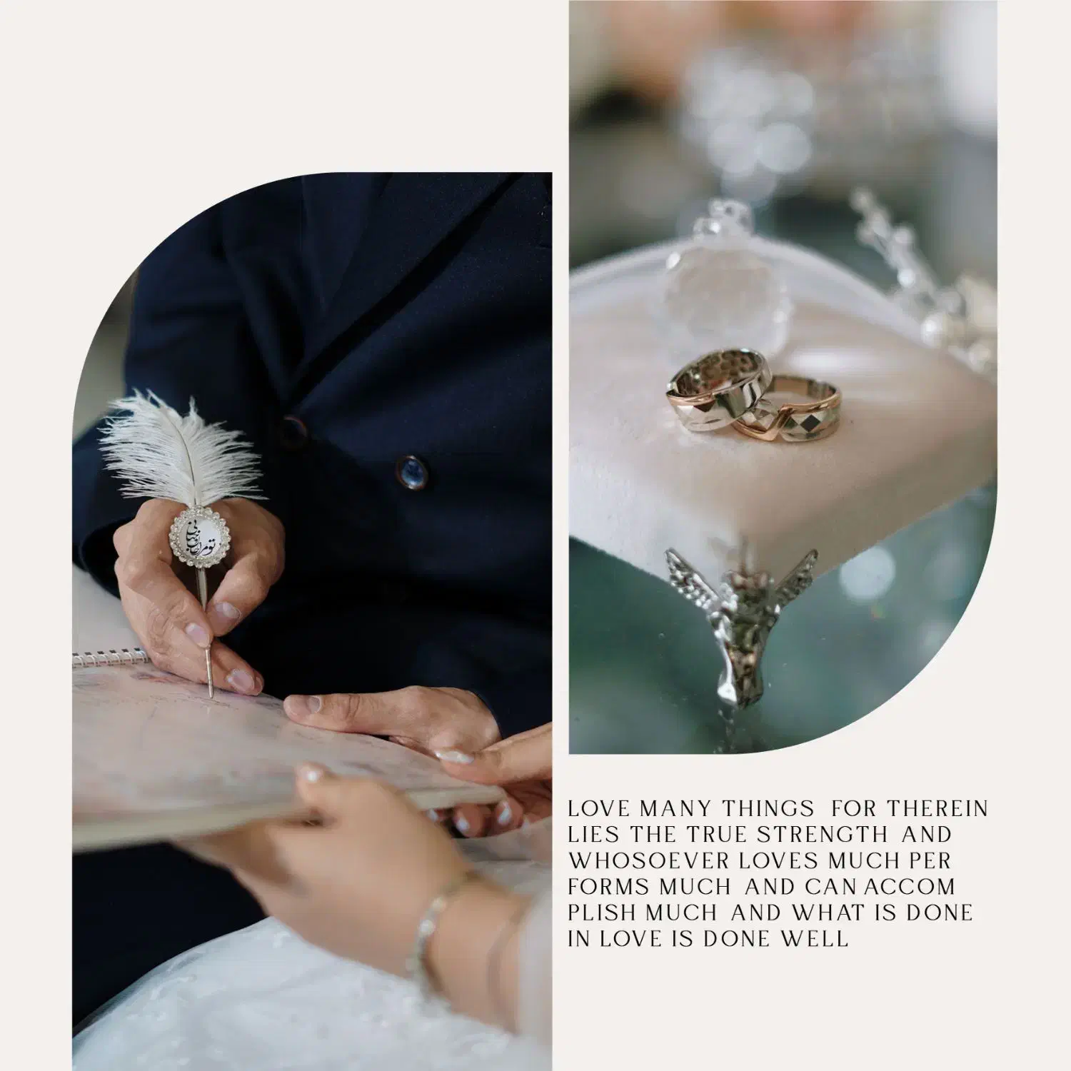 فیلمبرداری و عکاسی مجالس(عروسی و..) با قیمت مناسب|خدمات پذیرایی، مراسم|گلستان (تهران), |دیوار