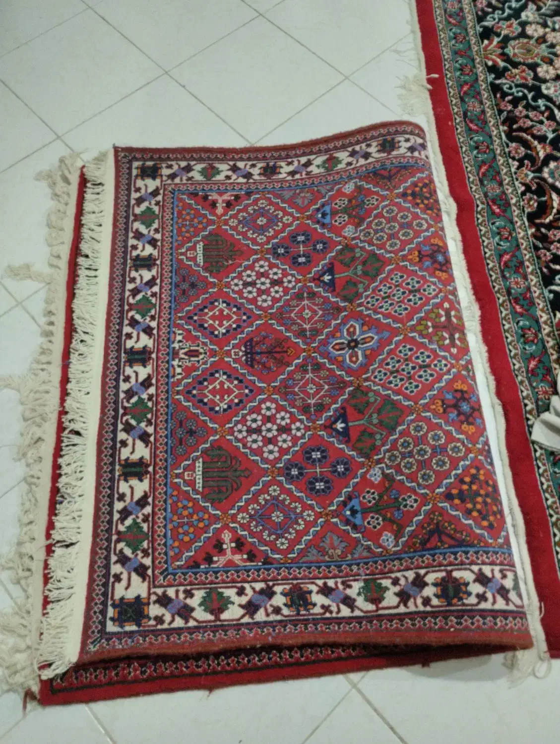 قالیچه دستباف|فرش|شاهینشهر, شهرک گلدیس|دیوار