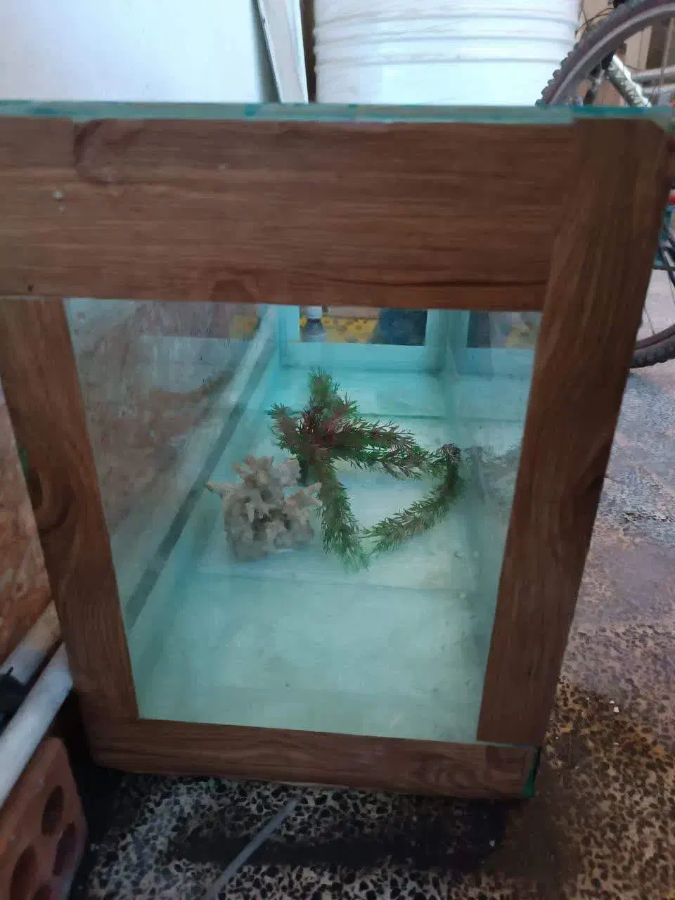 آکواریم کوچک خانگی|ماهی|گرگان, |دیوار