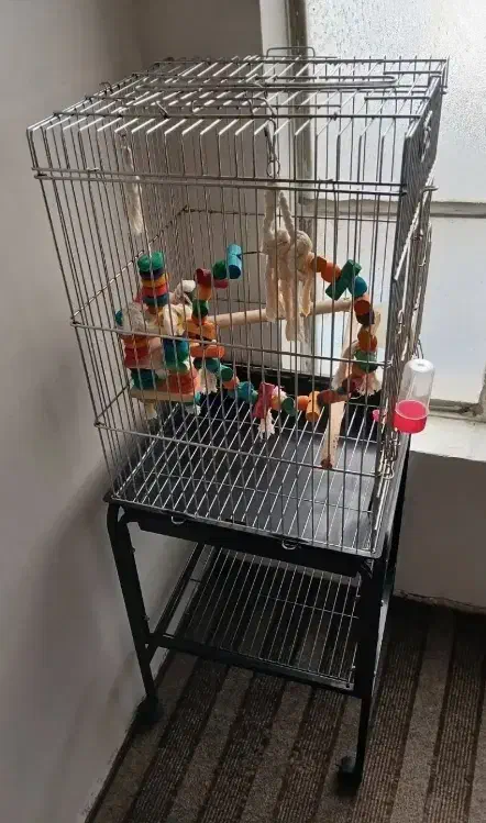 قفس کاسکویی صفر|لوازم جانبی حیوانات|سلماس, |دیوار