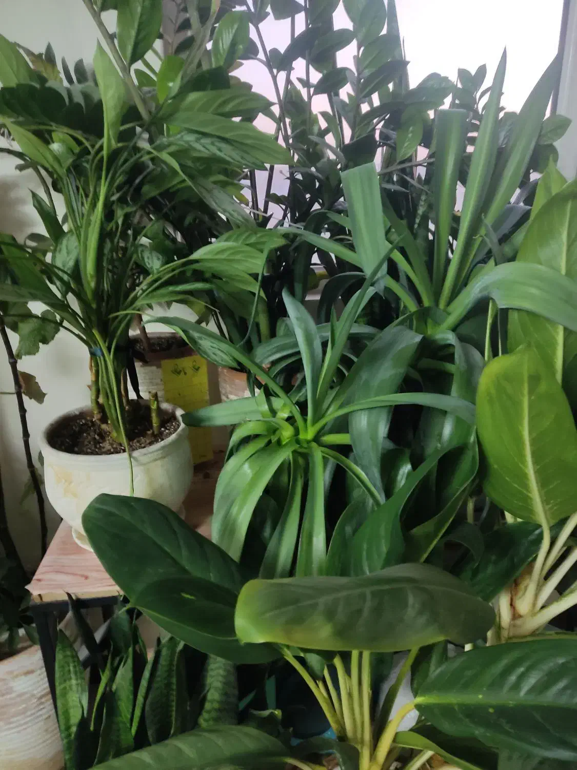 فروش وام مهربانی   شخصی|خدمات مالی، حسابداری، بیمه|فردیس, کوی نور|دیوار