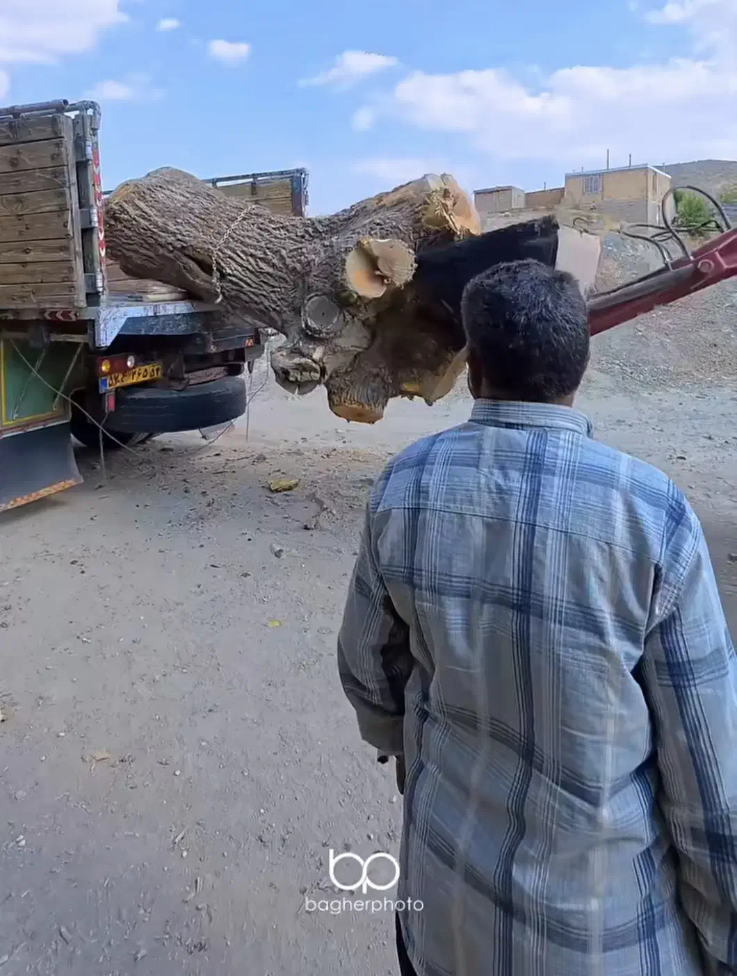 خریده چوبه قلمستان و همه جور چوبی|خدمات باغبانی و درختکاری|فرمهین, |دیوار