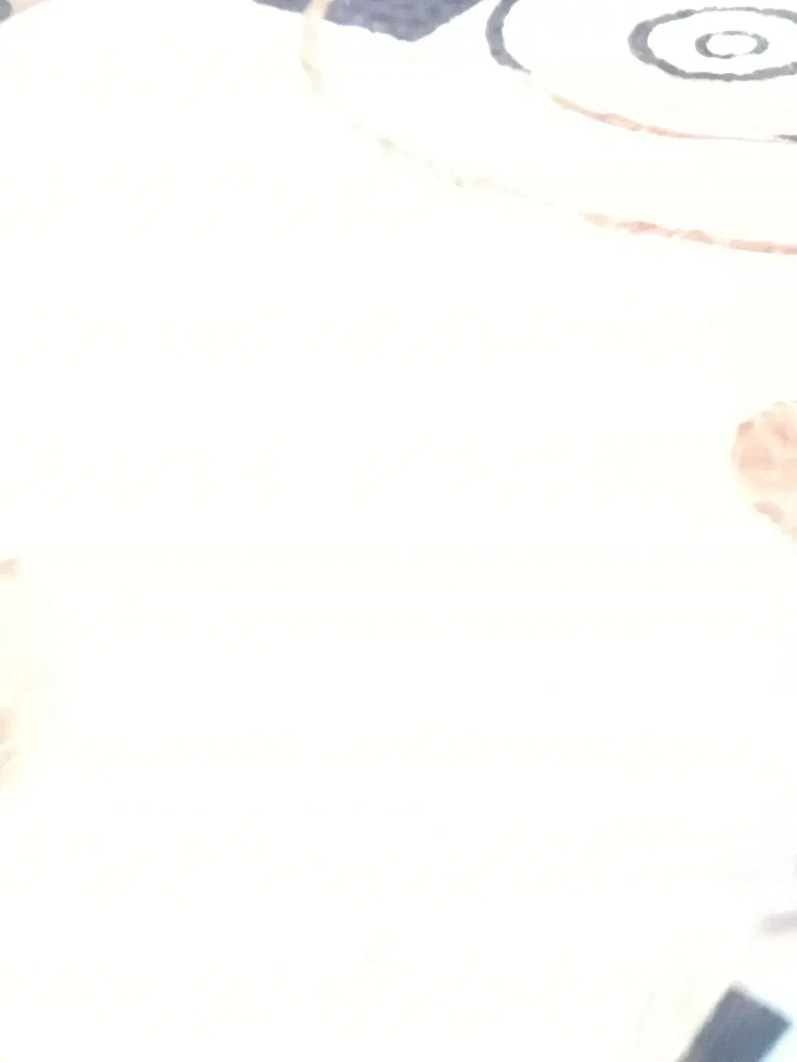 چادر عشایری پلاس|کوهنوردی و کمپینگ|رفسنجان, |دیوار