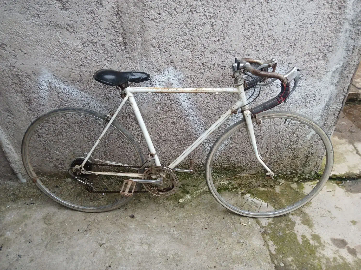 دوچرخه کورسی قدیمی باشارژمان|دوچرخه، اسکیت، اسکوتر|طاهرگوراب, |دیوار