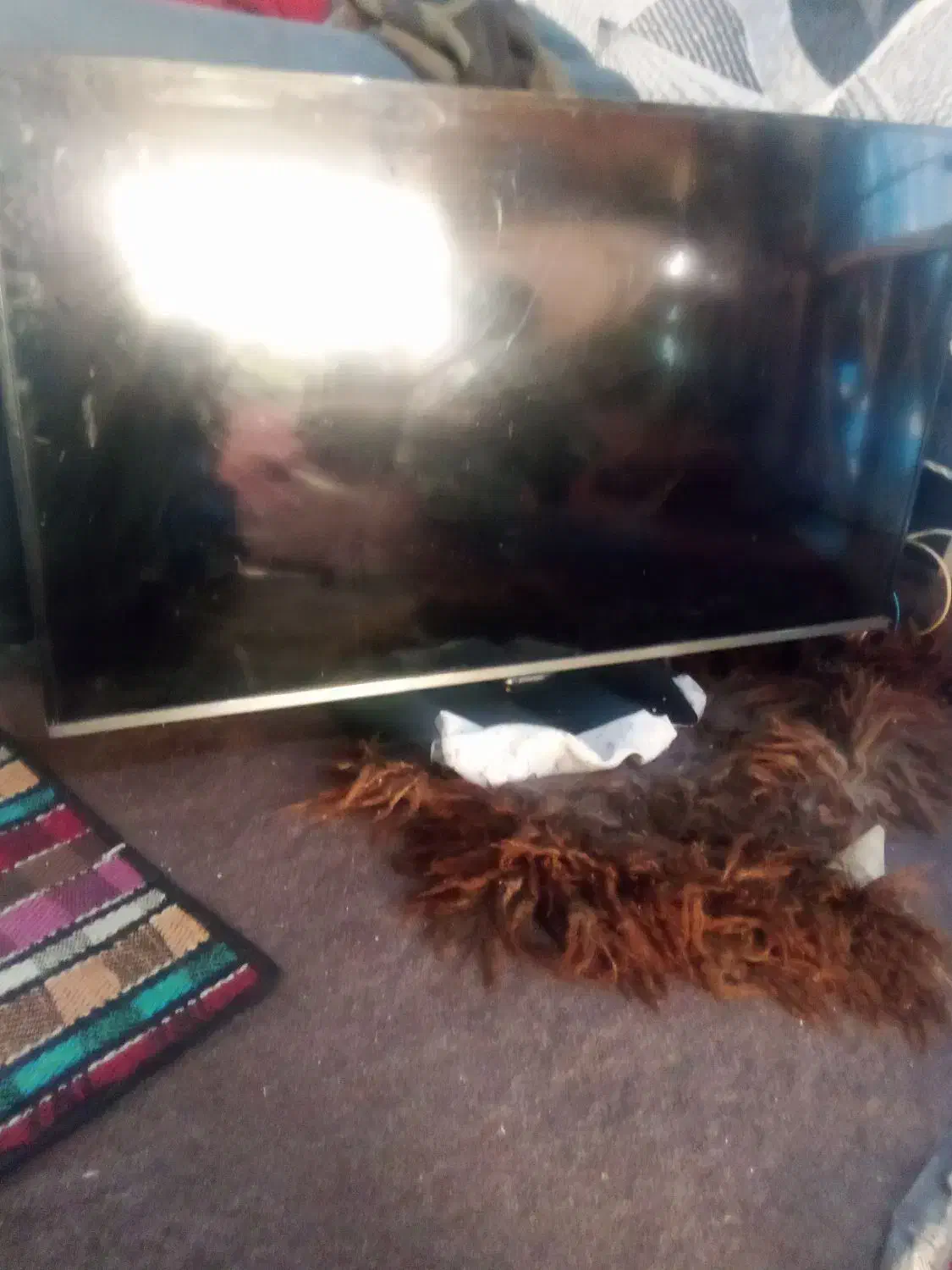 تلویزیون 40اینچ|تلویزیون و پروژکتور|سنگر, |دیوار