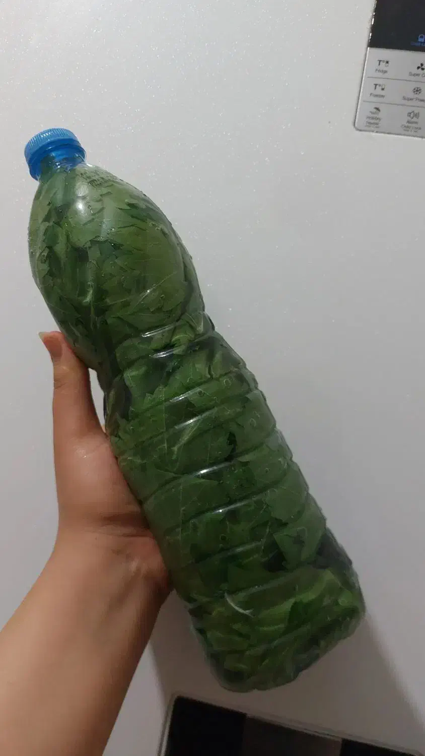 برگدلمه شور شده آماده|خوردنی و آشامیدنی|علیآباد کتول, |دیوار