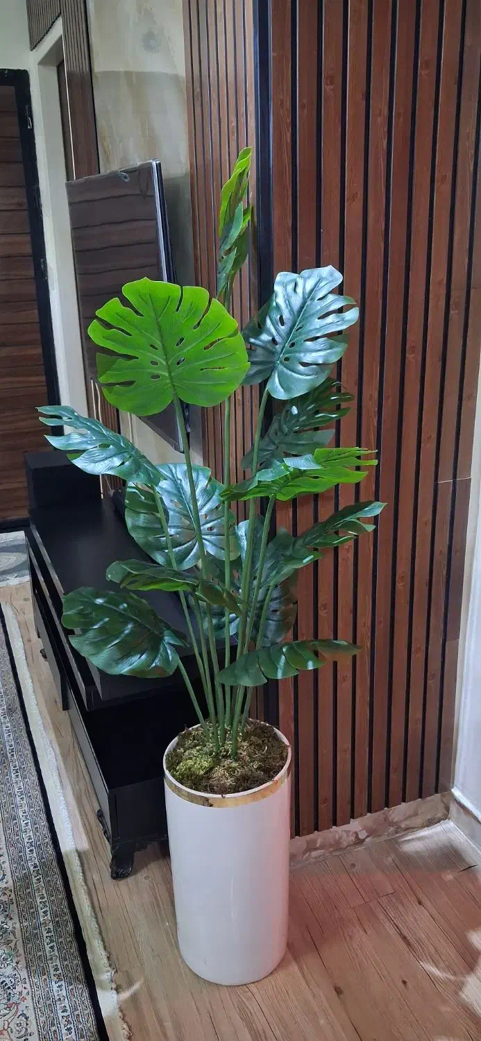 تولیدکننده درختچه مصنوعی وارداتی لمسی چرمی|گل مصنوعی|تهران, تهرانسر شمالی|دیوار