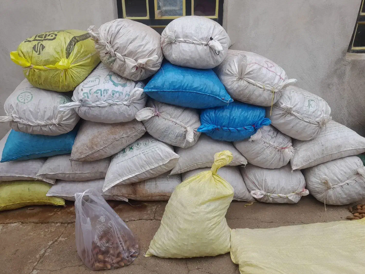 بلوط درجه یک|عمدهفروشی|سیروان, |دیوار