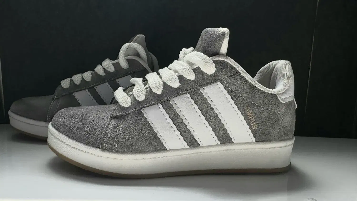 کفش|کیف، کفش، کمربند|لامرد, |دیوار