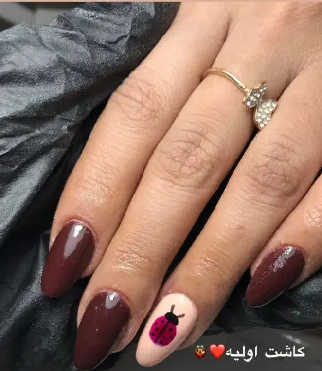 به مناسبت تولدم کاشت ناخن فقط280|خدمات آرایشگری و زیبایی|بم, |دیوار