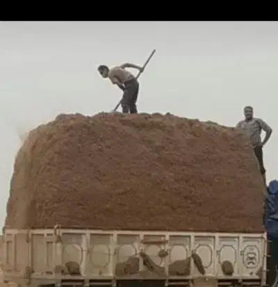 کاه نیشکر|حیوانات مزرعه|شاهین‌شهر, گزبرخوار|دیوار