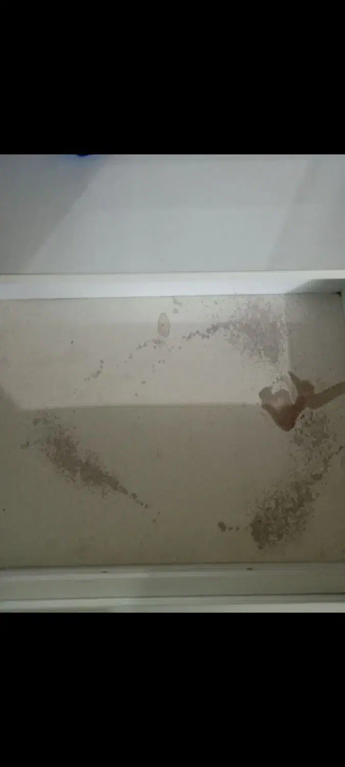 میزارایش|تخت و سرویس خواب|رشت, سلیمانداراب|دیوار