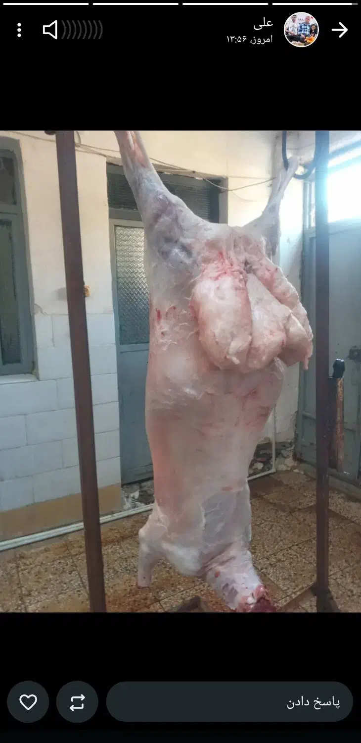 قصابی کهره وبره هر روز|خوردنی و آشامیدنی|بهبهان, |دیوار