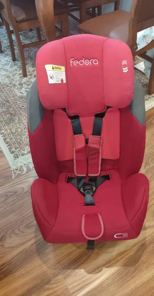 صندلی ماشین کودک|تخت و صندلی بچه|رشت, کاکتوس|دیوار