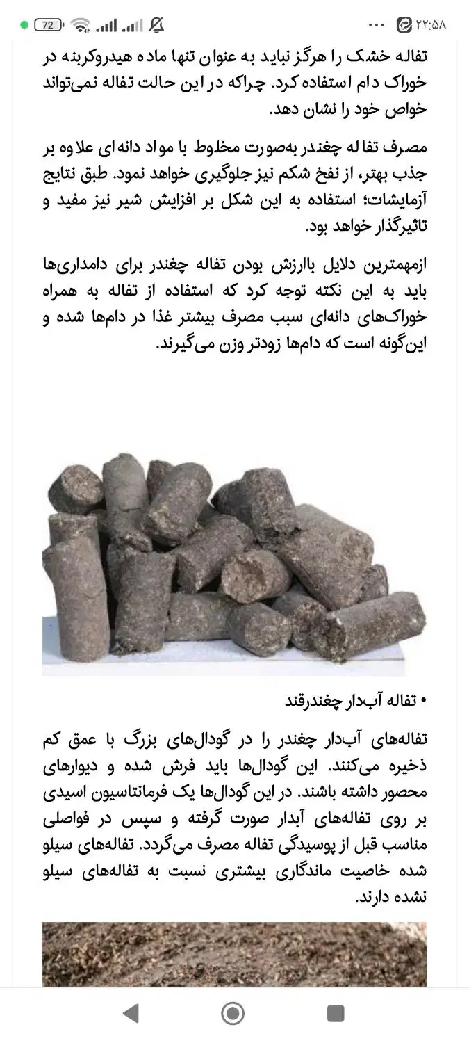 فروش نهادهای دامی|حیوانات مزرعه|یزد, |دیوار