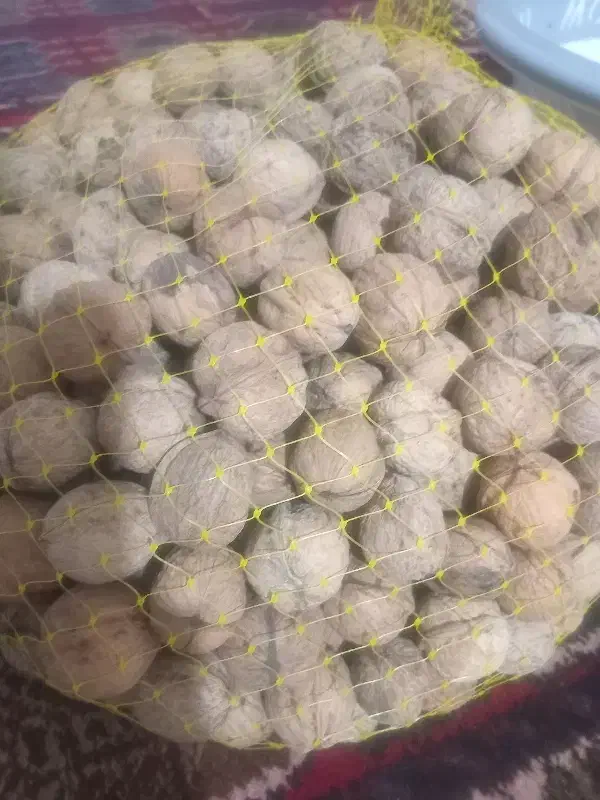 گردوی گوغر فروشی|خوردنی و آشامیدنی|کرمان, |دیوار