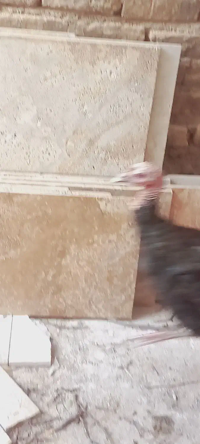 بوقلمون|حیوانات مزرعه|نیشابور, باغرود|دیوار