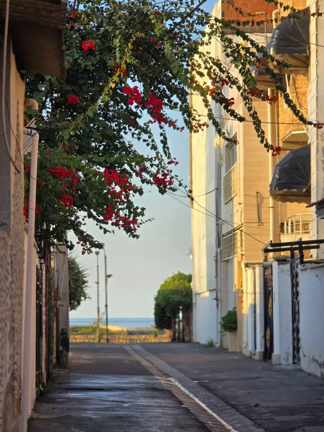 سه خواب دربست لب ساحل ماسه ای بدون واسطه|اجارهٔ کوتاه‌مدت ویلا و باغ|فریدون‌کنار, |دیوار