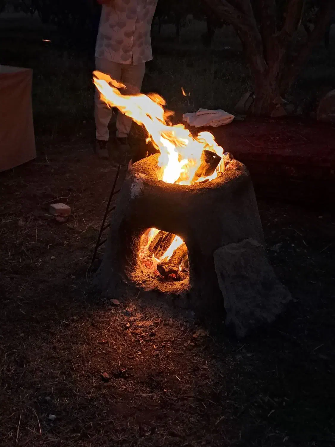 چراگاه برای گوسفندان شما|اجارهٔ کوتاه‌مدت ویلا و باغ|زنجان, |دیوار