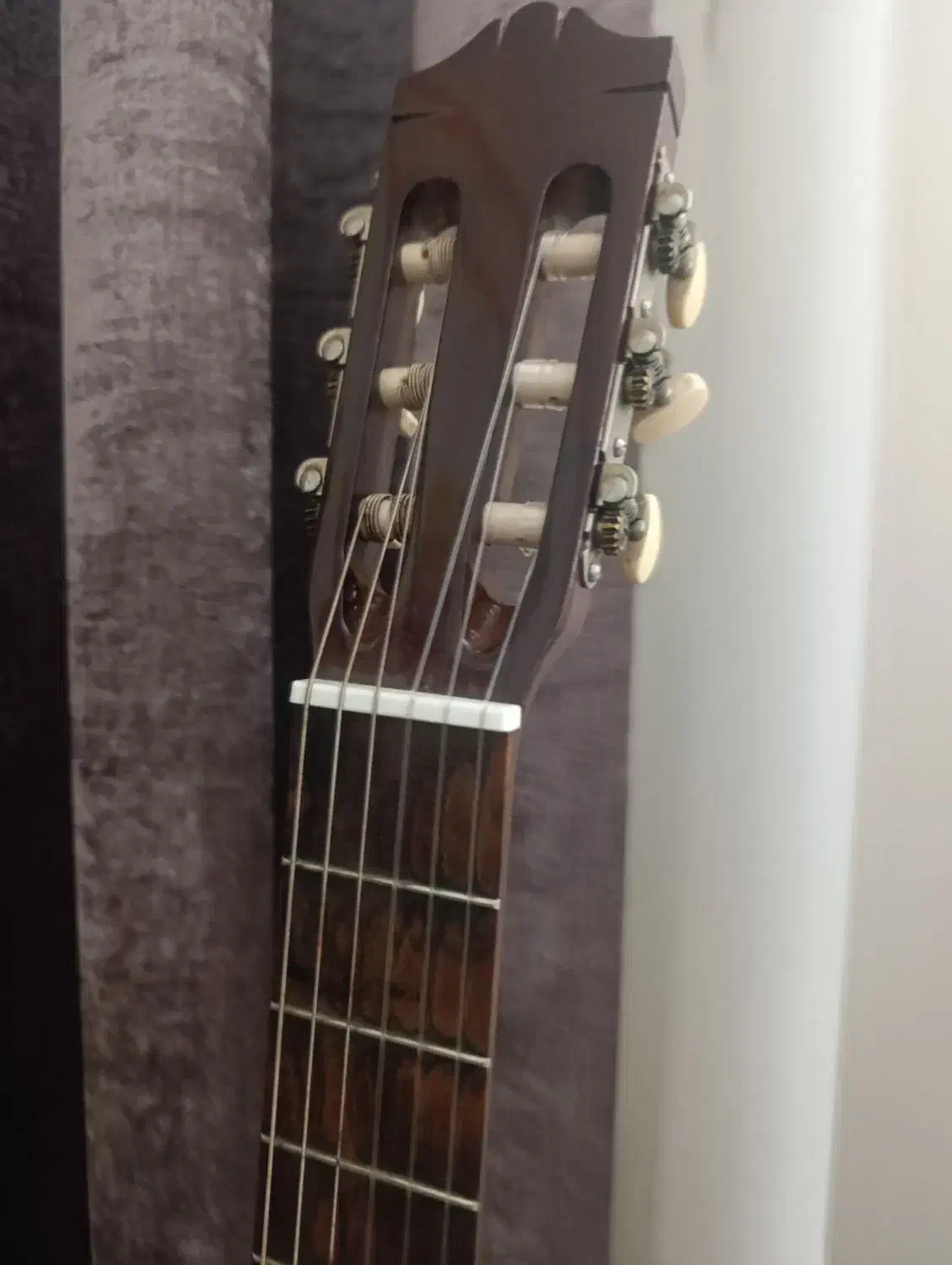 گیتار c45|گیتار، بیس، امپلیفایر|فردیس, شهرک ناز|دیوار