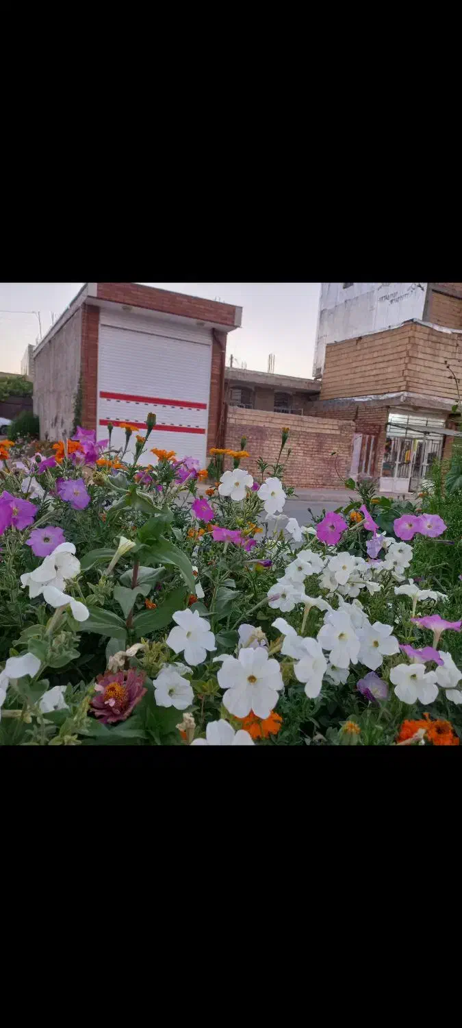 اجاره مغازه بزرگ در ۲۴ متری شهرک نقنه|اجارهٔ مغازه و غرفه|بروجن, |دیوار