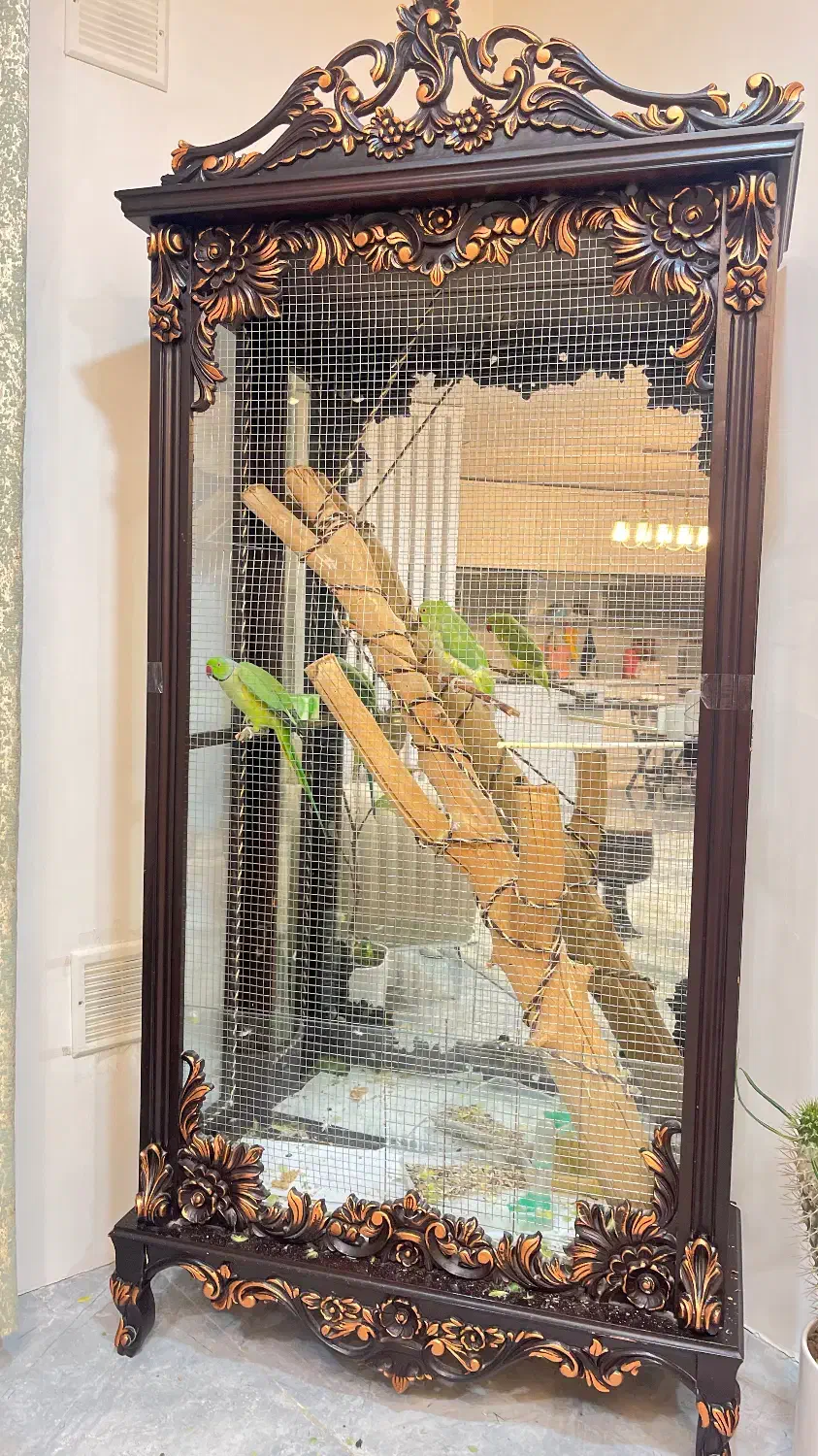 قفس پرنده .|لوازم جانبی حیوانات|قائن, |دیوار