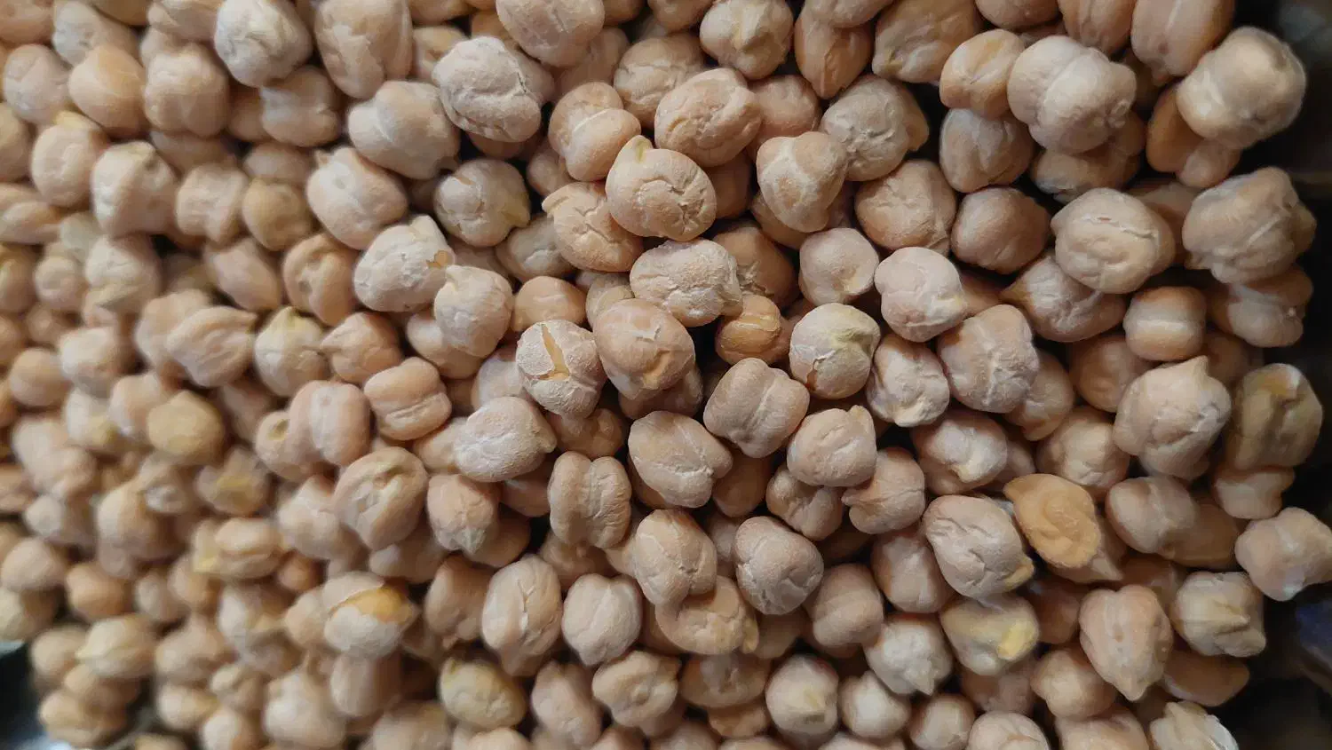 نخود پاک شده ،تمیز|خوردنی و آشامیدنی|اسدآباد, |دیوار