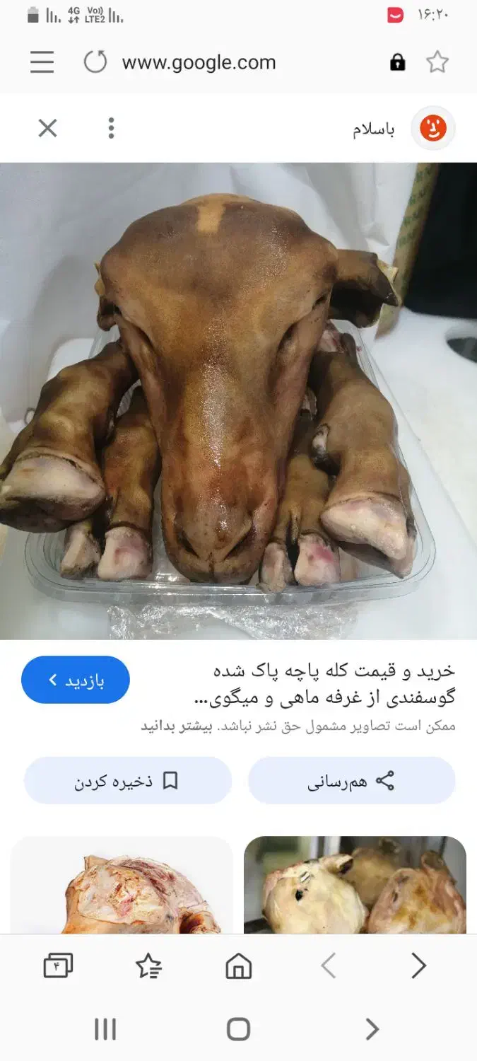 کله پاچه پاک شده|خوردنی و آشامیدنی|مهربان, |دیوار