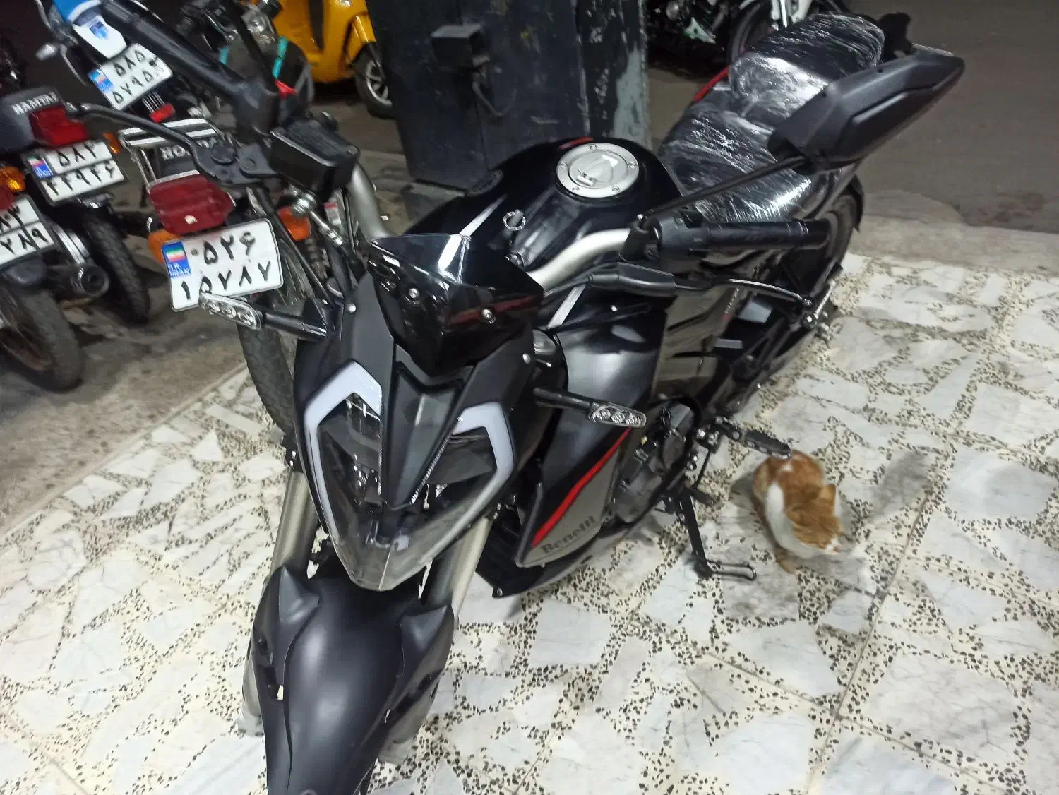 بنلی 180s|موتورسیکلت|رشت, شکار اسطلخ|دیوار