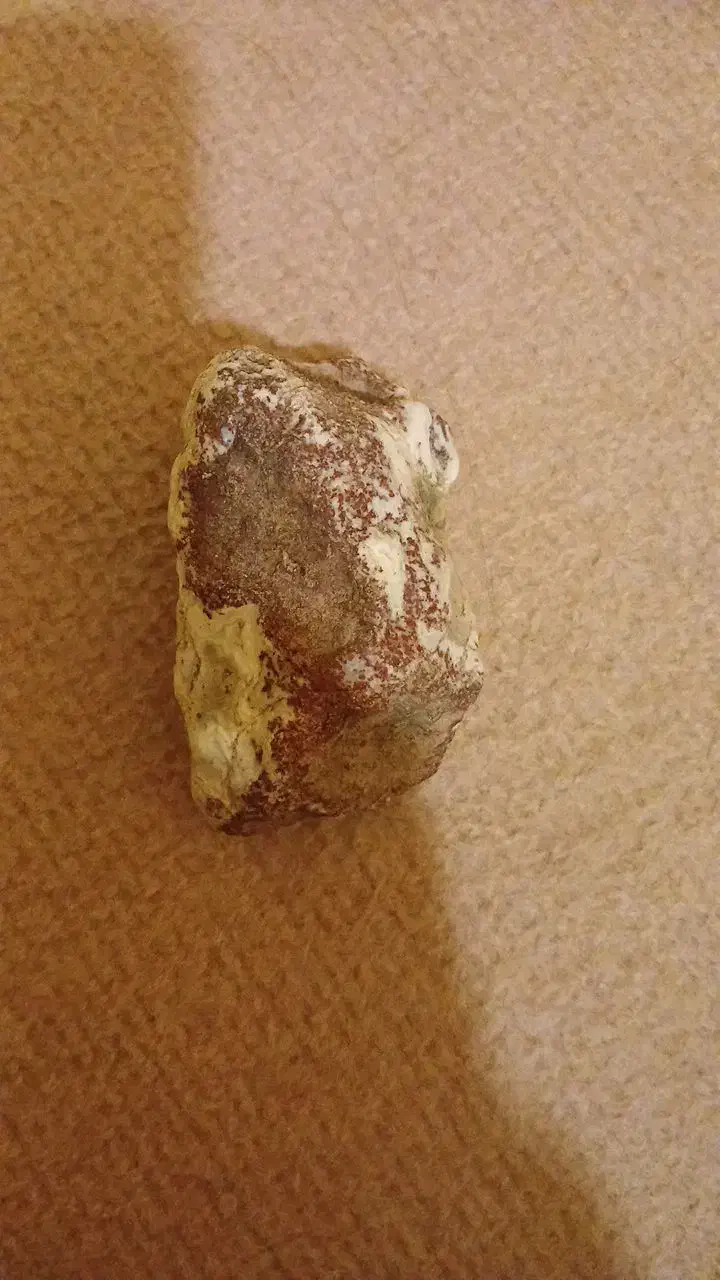 آبی|کلکسیون اشیاء عتیقه|کرج, برغان|دیوار