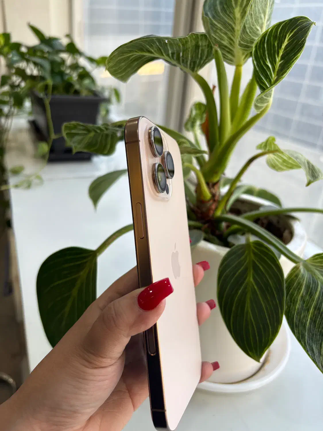 Iphone 16 pro max ایفون ۱۶ پرومکس|موبایل|تهران, اوین|دیوار