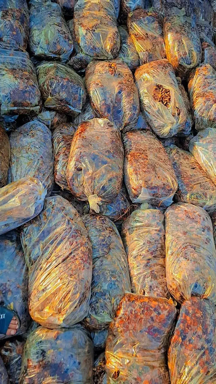 فروش ۱۰۰تن ضایعات خرما سیس و کبکاب|عمده‌فروشی|برازجان, |دیوار