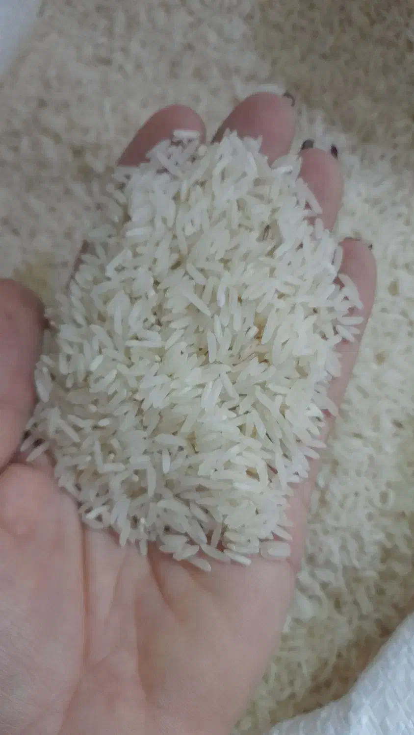 برنج ولاشه فجر|خوردنی و آشامیدنی|سرخنکلاته, |دیوار