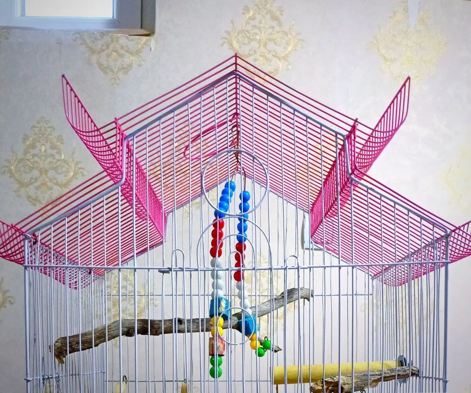 قفس بزرگ و لانه و جلیقه پرواز و همه وسایل قفس باهم|لوازم جانبی حیوانات|ایلام, |دیوار
