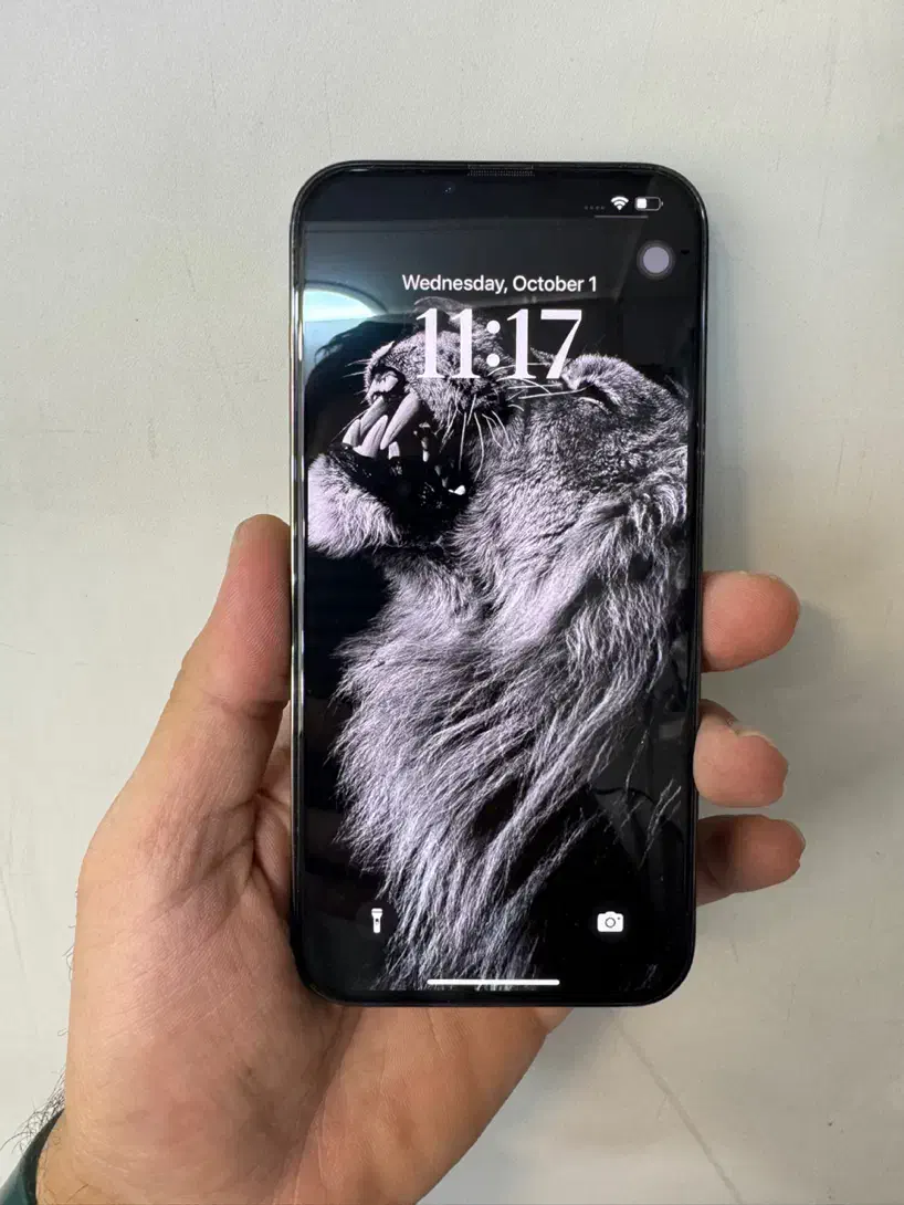 iPhone 13pro max|موبایل|تهران, لاله زار|دیوار