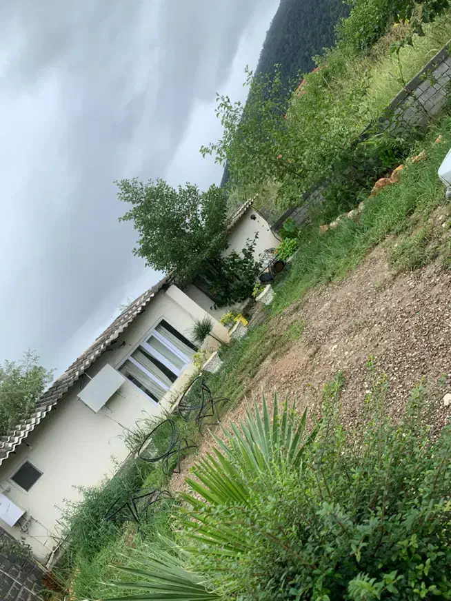 اجاره روزانه سوییت یک خواب نوساز|اجارهٔ کوتاه‌مدت آپارتمان و سوئیت|چالوس, |دیوار