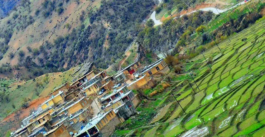 راهنمایی|فعالیت داوطلبانه|یاسوج, |دیوار