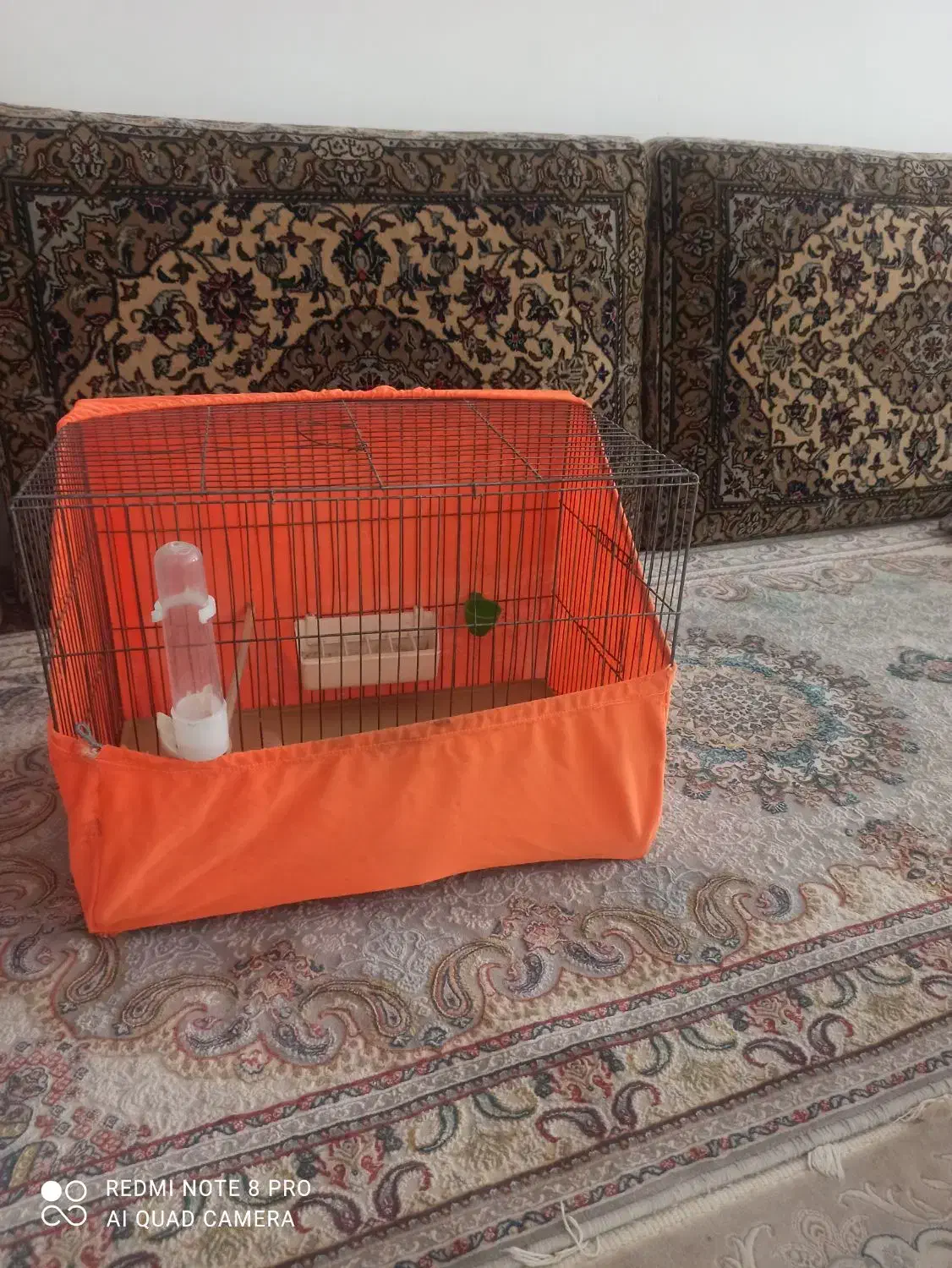 قفس 2 عدد سایز بزرگ با وسایل|لوازم جانبی حیوانات|قرچک, شهرک الحدید|دیوار
