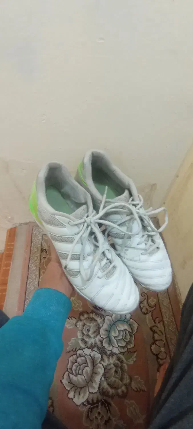 کتونی فوتسال تاپ سالا|کیف، کفش، کمربند|قم, صدوق|دیوار