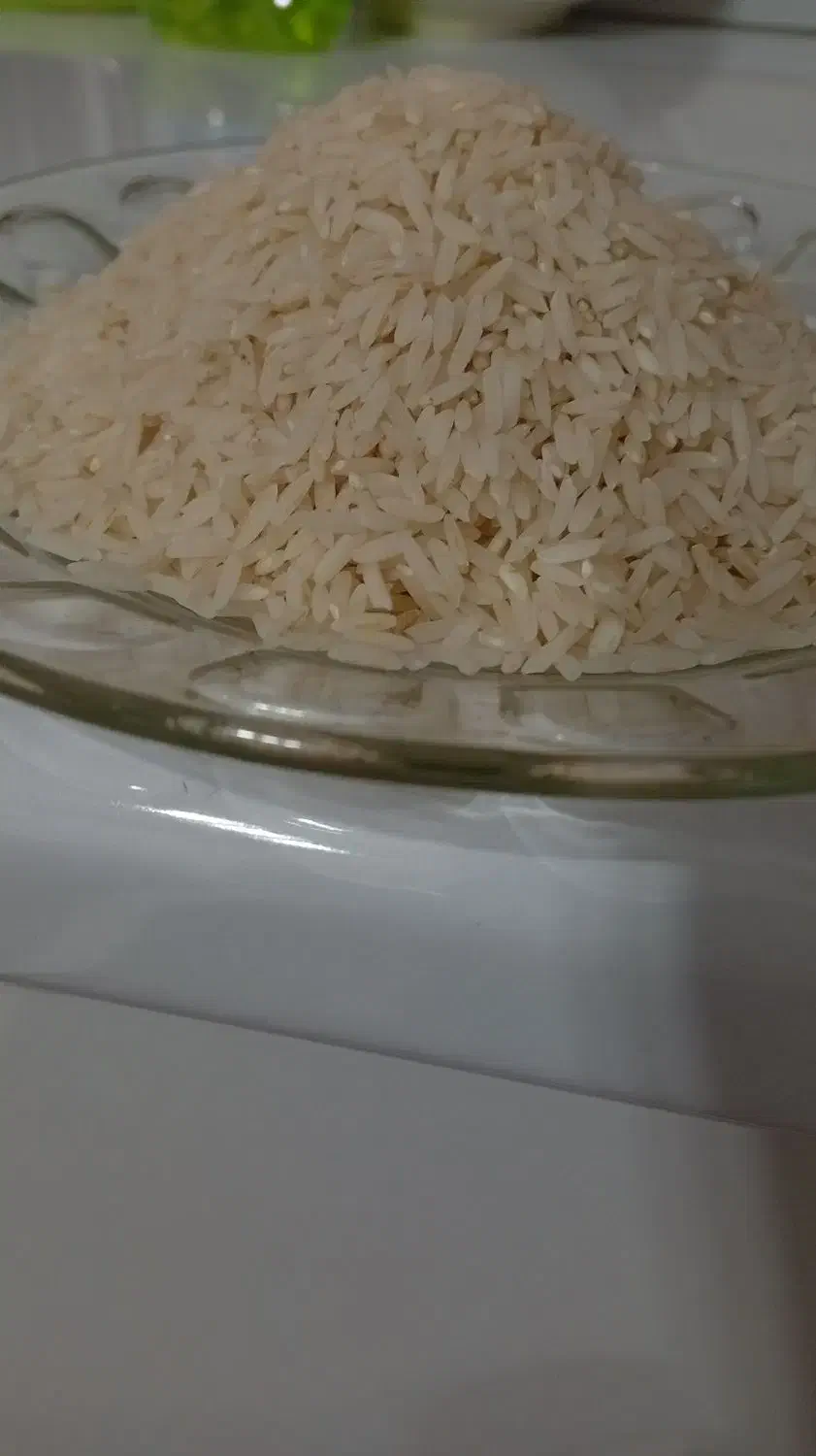 برنج امسال درگز|خوردنی و آشامیدنی|مشهد, امیریه|دیوار