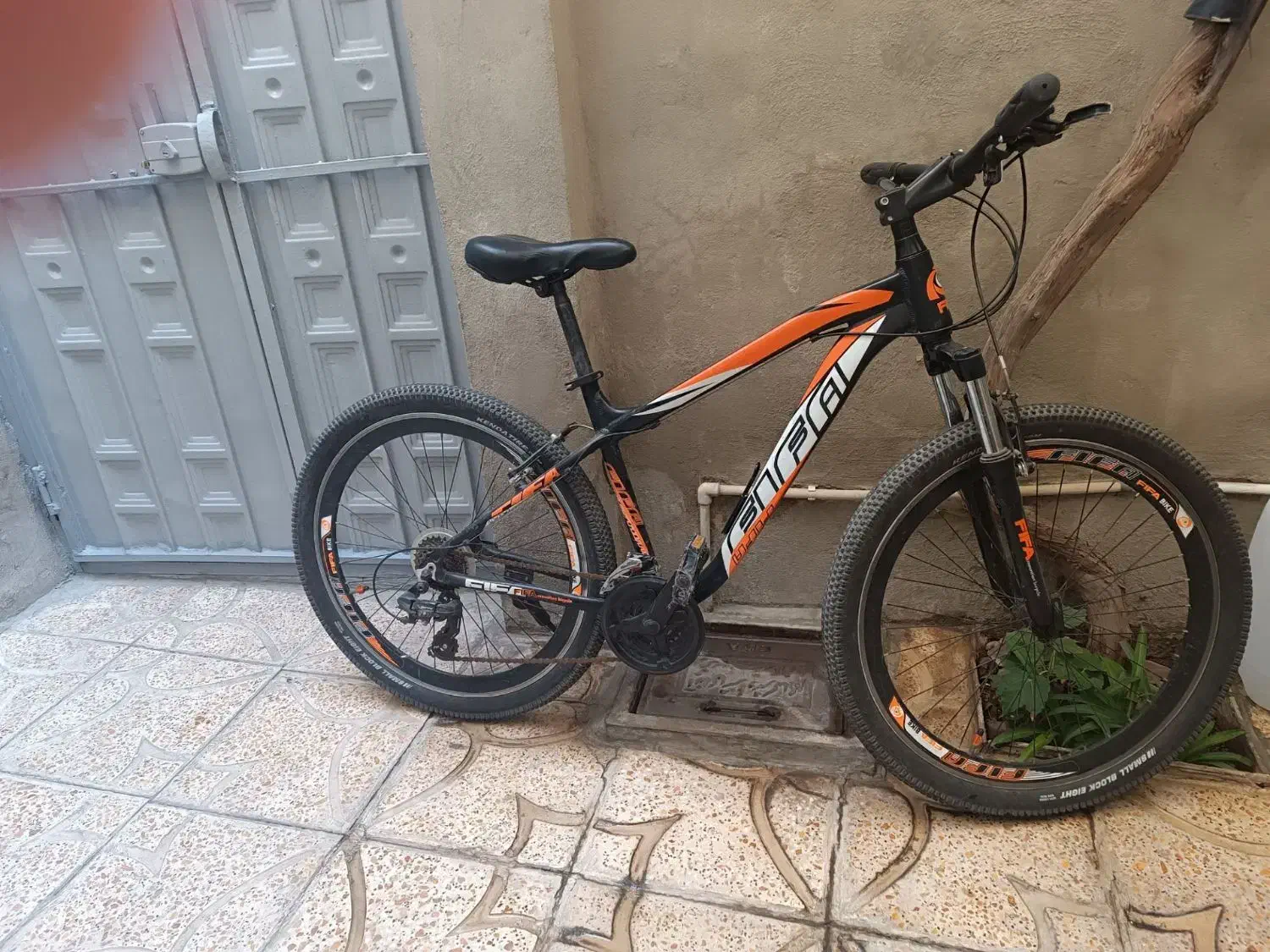 دوچرخه ۲۶|دوچرخه، اسکیت، اسکوتر|قدس, شهرقدس|دیوار