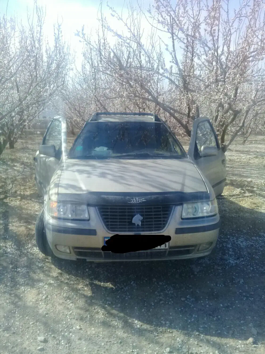 سواری لردگان به یزدرفت و برگشت همه روزه|خدمات حمل و نقل|لردگان, |دیوار