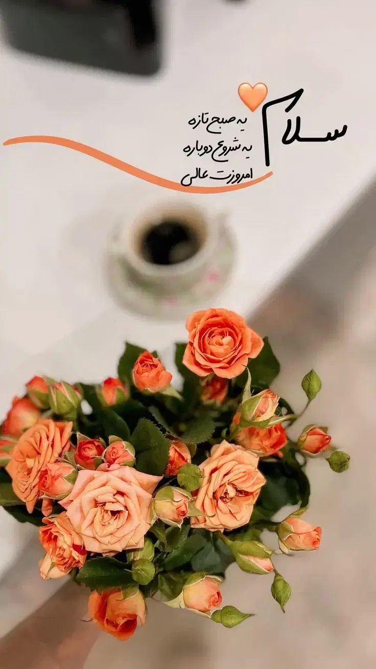 نیازمند پرستار روزانه برای غدا درست کردن و نظافت|استخدام سرایداری و نظافت|تهران, استخر|دیوار