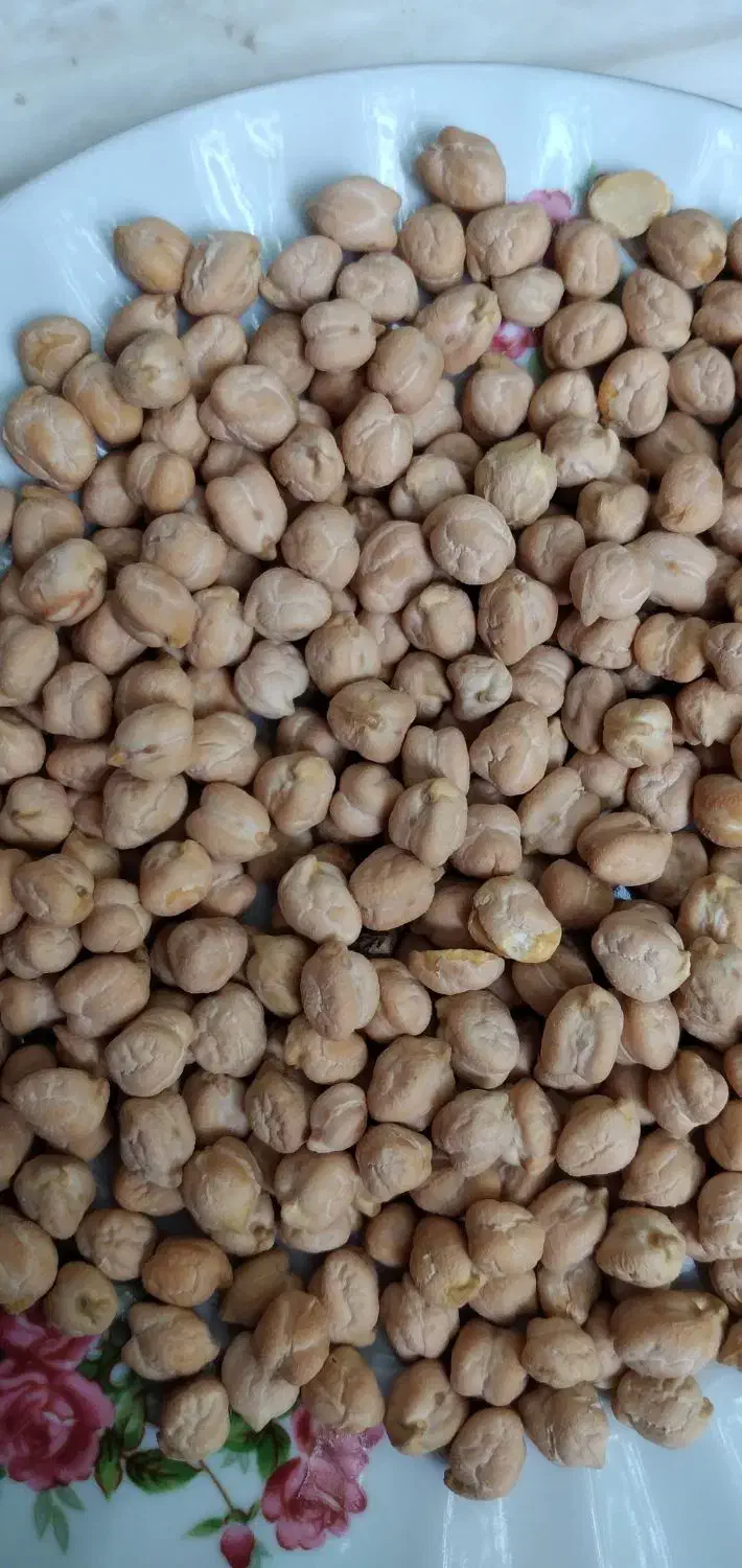 نخوددرجه یک برداشت امسال|خوردنی و آشامیدنی|بهار, |دیوار