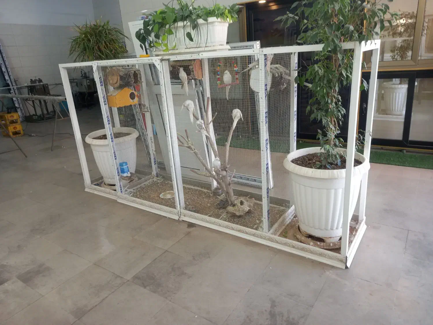 قفس آلومینیومی با عروس البینو ۱۰ عدد|لوازم جانبی حیوانات|قم, چهار امامزاده|دیوار