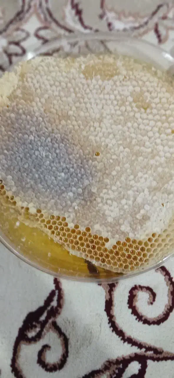 محصولات سنتی|خوردنی و آشامیدنی|مرند, |دیوار