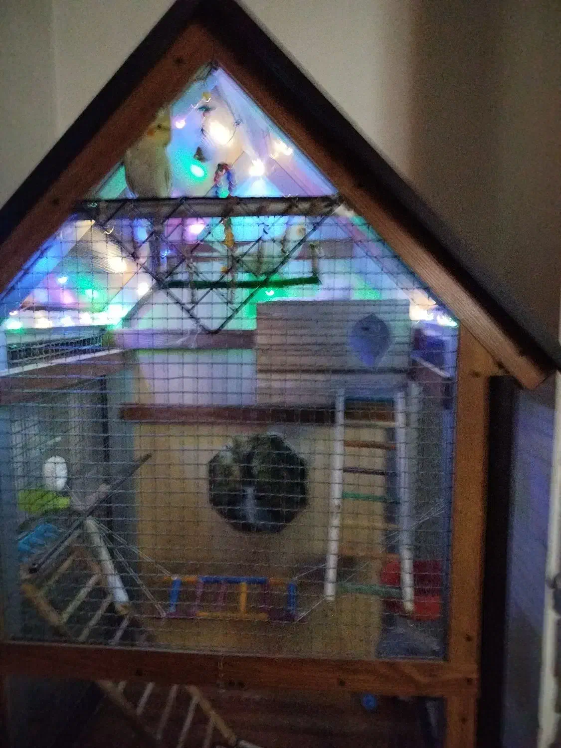 قفس بزرگ چوبی|لوازم جانبی حیوانات|محمدشهر, محمدشهر|دیوار