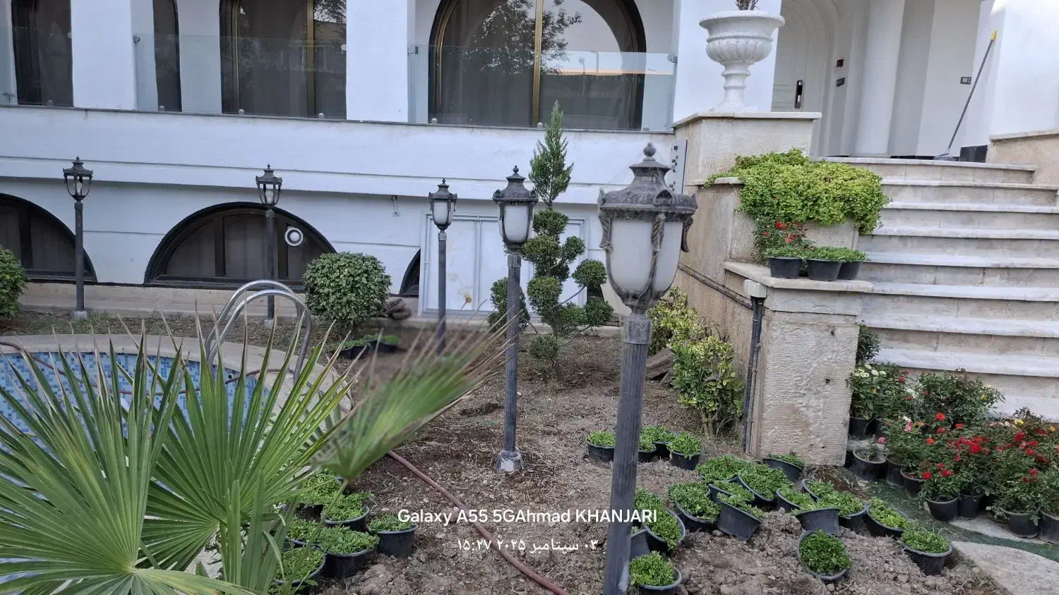 باغبانی درب منزل رسیدگی به باغچه وگلدون آپارتمانی|خدمات باغبانی و درختکاری|تهران, شهرک غرب|دیوار
