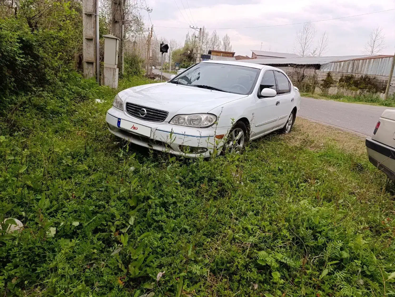 ماکسیما ۸۸|خودرو سواری و وانت|قزوین, |دیوار