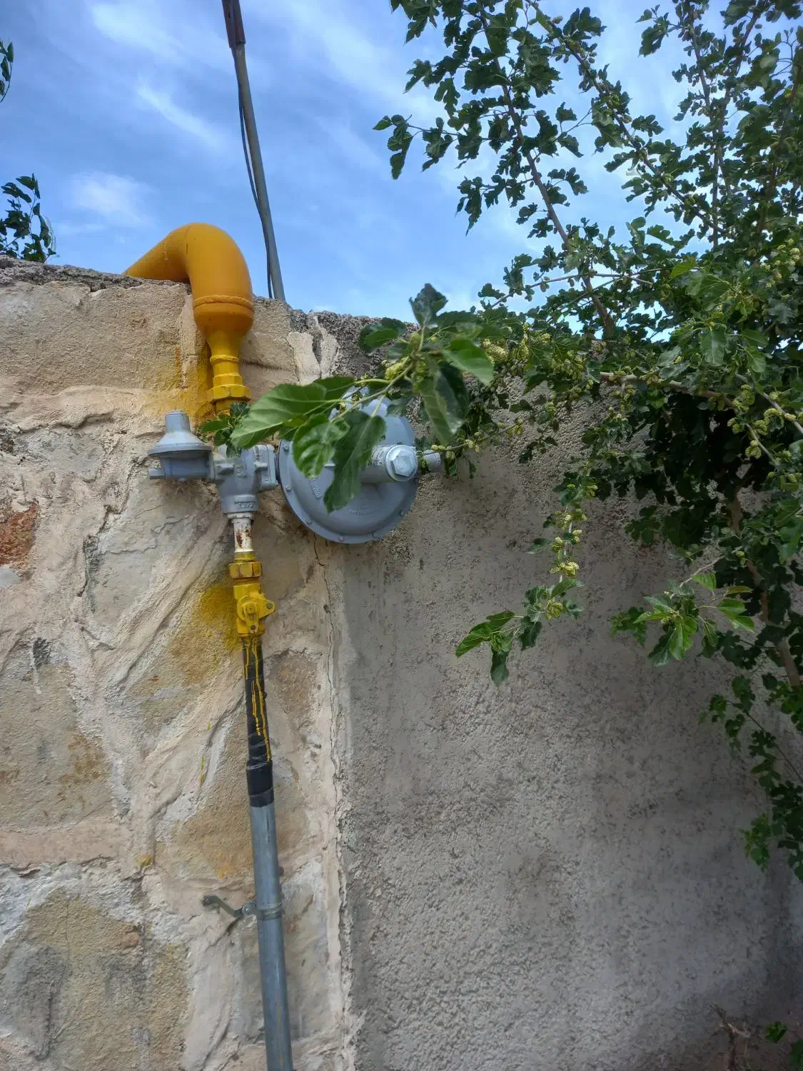 ۵۰۰۰ متر زمین چهاردیواری سنددار دارای مجوز گلخانه|فروش دفتر صنعتی، کشاورزی، تجاری|نظرآباد, رسالت|دیوار